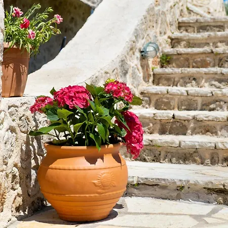 Gkountis Deluxe Lefkáda